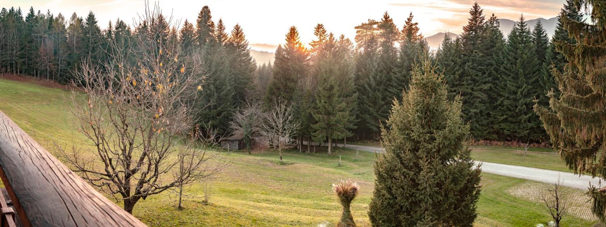 Apartments Jasa Мозирье Экстерьер фото